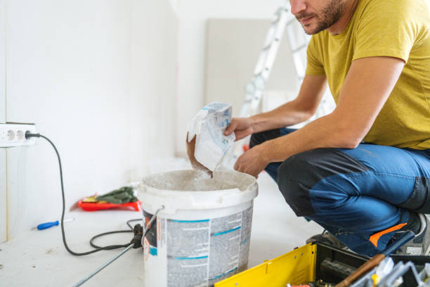 Best Drywall Sanding and Smoothing  in Loma, CO